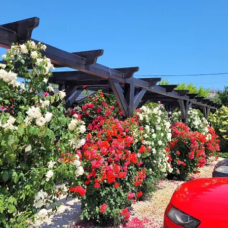 بيت ضيافة Kys House