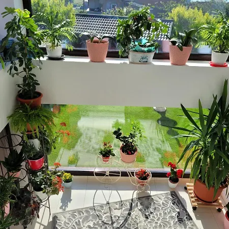 Kys House 3* Techirghiol