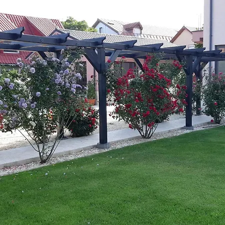 Kys House بيت ضيافة تيشيرغيول